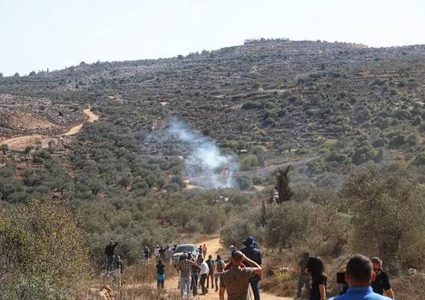 مستوطنون وجيش الاحتلال يمنعون المزارعين من قطف الزيتون في عدة مناطق بسلفيت