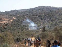 مستوطنون وجيش الاحتلال يمنعون المزارعين من قطف الزيتون في عدة مناطق بسلفيت