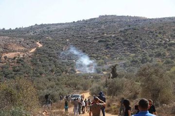 مستوطنون وجيش الاحتلال يمنعون المزارعين من قطف الزيتون في عدة مناطق بسلفيت