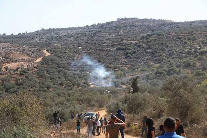 مستوطنون وجيش الاحتلال يمنعون المزارعين من قطف الزيتون في عدة مناطق بسلفيت