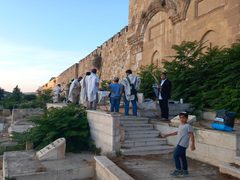 مستوطنون يدنسون مقبرة باب الرحمة المحاذية للمسجد الأقصى