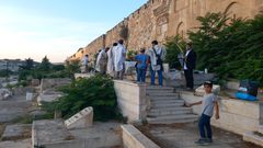 مستوطنون يدنسون مقبرة باب الرحمة المحاذية للمسجد الأقصى