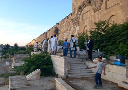 مستوطنون يدنسون مقبرة باب الرحمة المحاذية للمسجد الأقصى