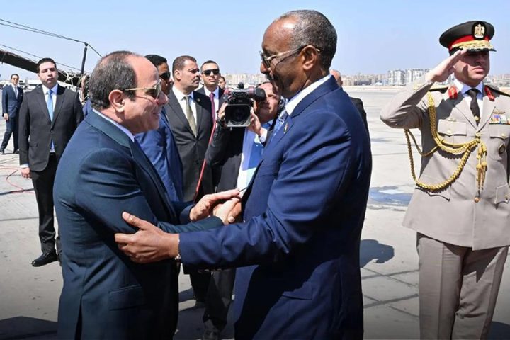 السيسي والبرهان يبحثان تطورات حرب السودان وسبل إنهائها