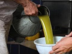 المفتي العام يدعو إلى إخراج زكاة الزيت والزيتون