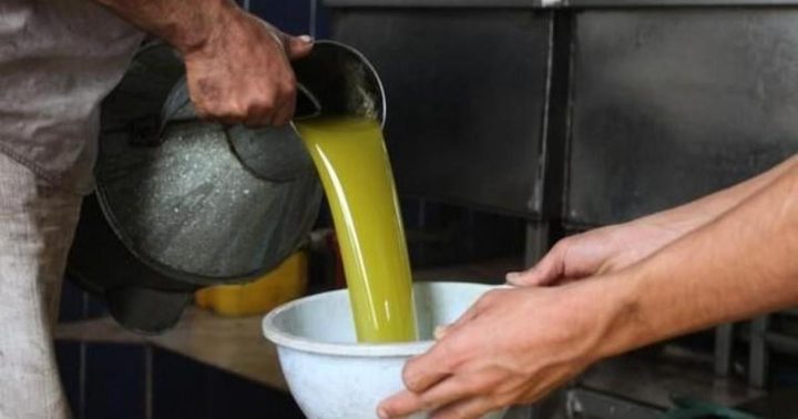 المفتي العام يدعو إلى إخراج زكاة الزيت والزيتون