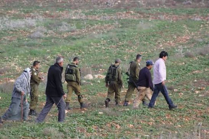 مستوطنون يهاجمون قاطفي الزيتون ويستولون على جرار زراعي في برقة