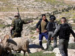 مستوطنون يطلقون الرصاص على رعاة أغنام جنوب شرق بيت لحم