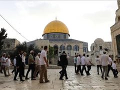 "الأوقاف": 26 اقتحامًا للأقصى ومنع الأذان 150 وقتًا في الإبراهيمي خلال أيلول