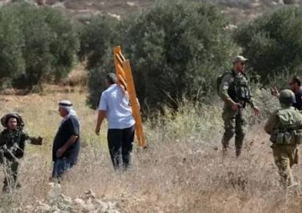 مستوطنون يهاجمون المزارعين غرب نابلس وسلفيت