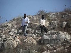إصابتان جراء اعتداء مستوطنين على قاطفي الزيتون في دير بزيع غرب رام الله