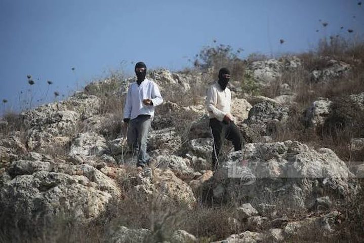 إصابتان جراء اعتداء مستوطنين على قاطفي الزيتون في دير بزيع غرب رام الله