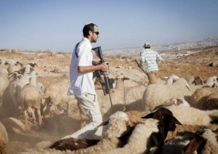 مستوطنون يرعون أغنامهم بين منازل المواطنين في دير جرير شمال شرق رام الله