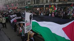 تظاهرات في عدة مدن أميركية تضامنا مع الشعب الفلسطيني ورفضا لاستمرار العدوان