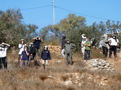 مستوطنان يلاحقان مواطنا ويسرقان ثمار الزيتون شمال القدس