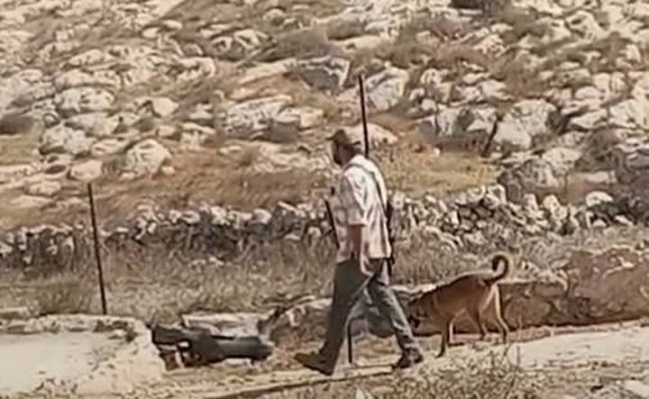 مستوطنون يهاجمون قاطفي الزيتون ويقطعون الطريق على طلبة مدارس جنوب الخليل