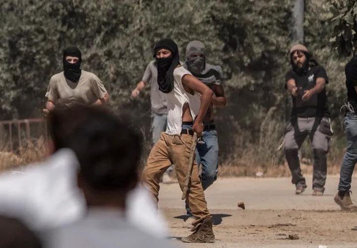 المستوطنون يصعدون هجماتهم في الضفة: إصابات واعتداءات على قاطفي الزيتون