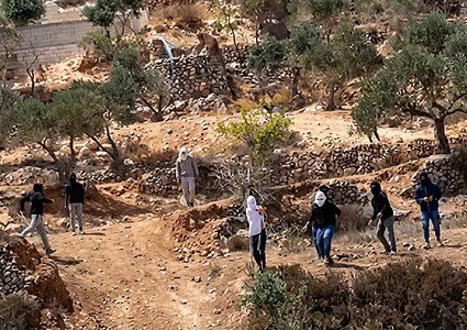 الاحتلال ومستوطنوه يعتدون على مزارعين ويمنعوهم من قطف ثمار الزيتون جنوب جنين