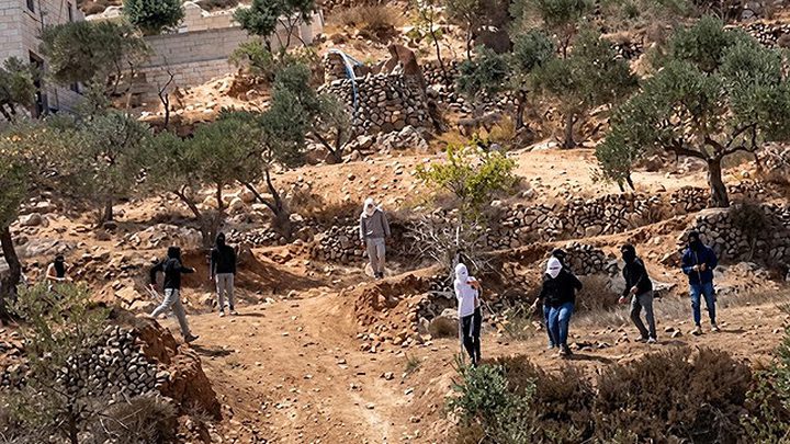 الاحتلال ومستوطنوه يعتدون على مزارعين ويمنعوهم من قطف ثمار الزيتون جنوب جنين