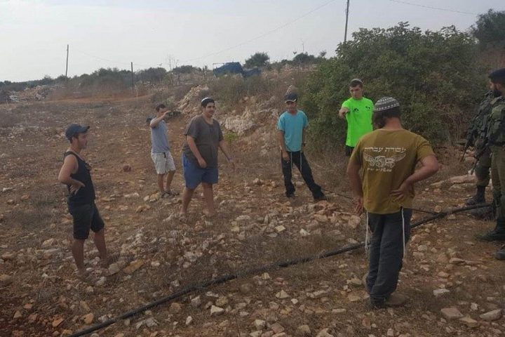 مستوطنون يمنعون المزارعين من قطف الزيتون في ياصيد شمال نابلس