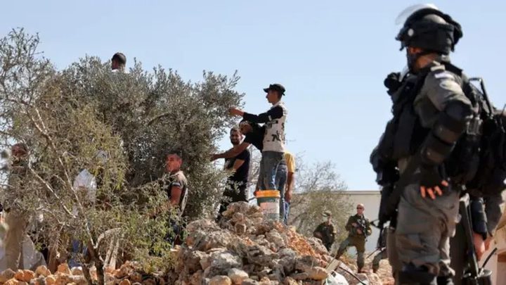 مستوطنون يعتدون على مواطنين ويحرقون منزلا ومركبة ويمنعون قطف الزيتون بالخليل