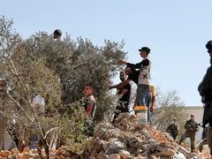 مستوطنون يعتدون على مواطنين ويحرقون منزلا ومركبة ويمنعون قطف الزيتون بالخليل