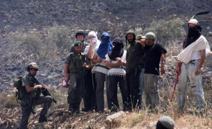 مسنوطنون يهاجمون مركبات المواطنين شمال غرب رام الله