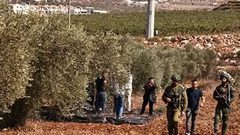 مستوطنون يعتدون على المزارعين غرب دير بلوط