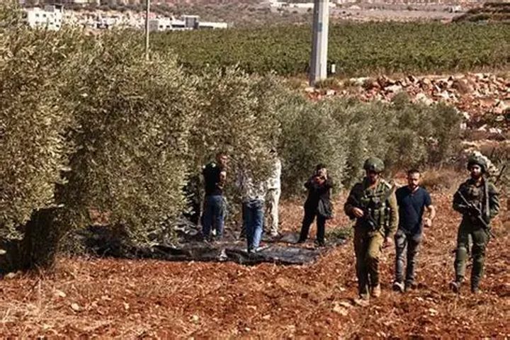 مستوطنون يعتدون على المزارعين غرب دير بلوط