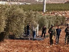 مستوطنون يعتدون على المزارعين غرب دير بلوط