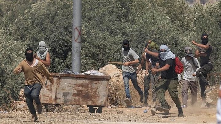 مستوطنون يهاجمون قاطفي الزيتون والمتضامنين في دير جرير