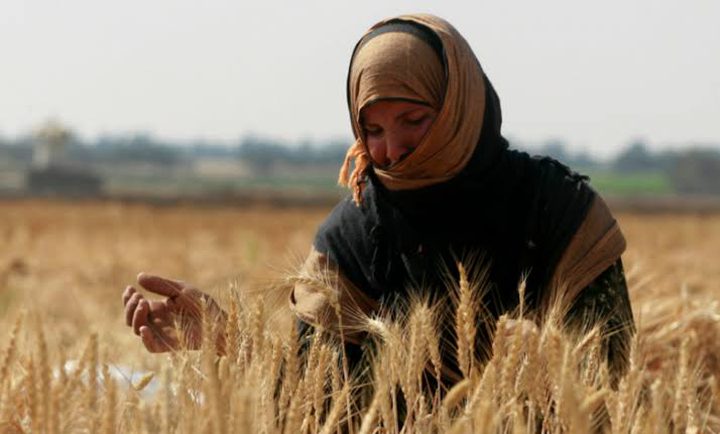 بيان صادر عن شبكة المنظمات الأهلية بمناسبة اليوم العالمي للمرأة الريفية