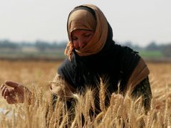 بيان صادر عن شبكة المنظمات الأهلية بمناسبة اليوم العالمي للمرأة الريفية