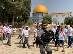 مستوطنون يقتحمون الأقصى ويمنعون مزارعين من قطف الزيتون غرب الخليل
