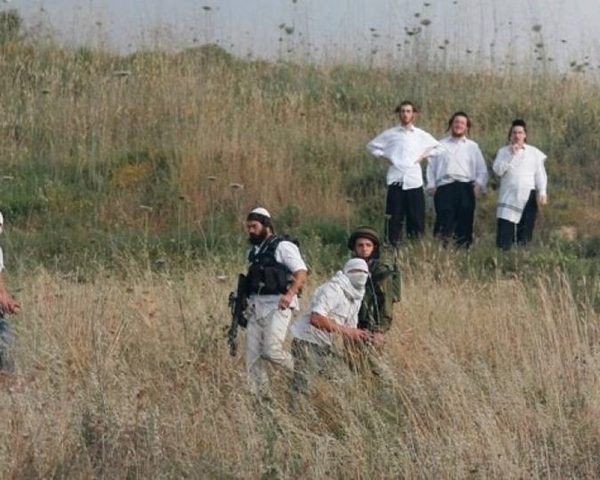 مستوطن يلاحق المزارعين شرق مردا شمال سلفيت
