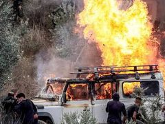 تقرير: استهداف موسم الزيتون يتجاوز سرقة المحصول إلى السيطرة على الأرض