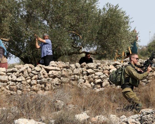الاحتلال يمنع المواطنين في دير جرير من الوصول إلى أراضيهم لقطف الزيتون