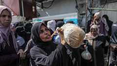 جمعية المخابز: عجز الطحين في قطاع غزة يصل إلى 100% و7 مخابز مهددة بالتوقف