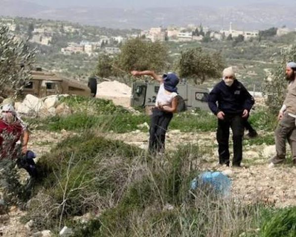 3 إصابات بينها طفل إثر هجوم للمستوطنين على بورين بنابلس