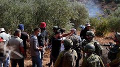 الجدار والاستيطان: 21 اعتداء على قاطفي الزيتون في 6 محافظات