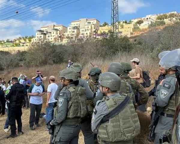 إسرائيل تعتزم ترحيل 11 ناشطا أجنبيا بعد اعتقالهم خلال قطف الزيتون جنوب الضفة