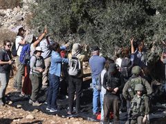 مستوطنون يحتجزون قاطفي الزيتون في أراضي الساوية جنوب نابلس
