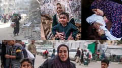 النساء الفلسطينيات في مواجهة تداعيات العدوان.. خسائر بشرية وتحديات متفاقمة